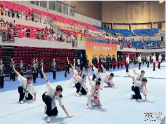 上海武术比赛 (11)