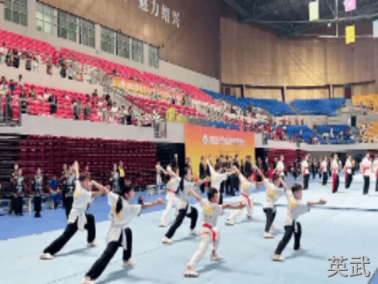 武术比赛7